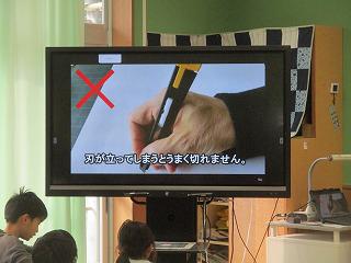 IMG_8663.jpg