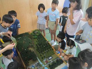 IMG_1309.jpg