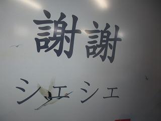 IMG_8794.jpg