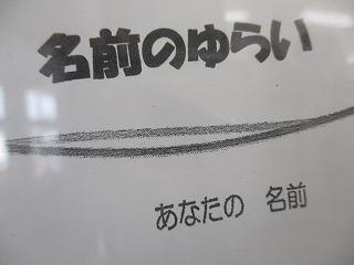 IMG_8897.jpg