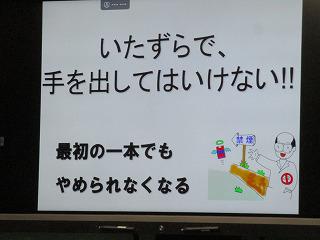 IMG_8940.jpg
