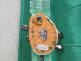 IMG_9088.jpg