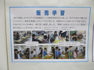 IMG_9108.jpg