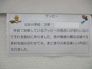 IMG_9126.jpg