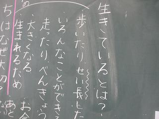 IMG_9195.jpg