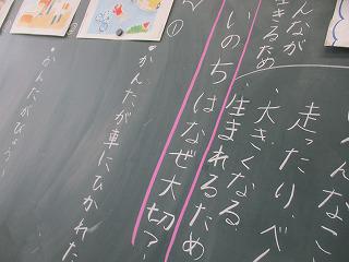 IMG_9194.jpg