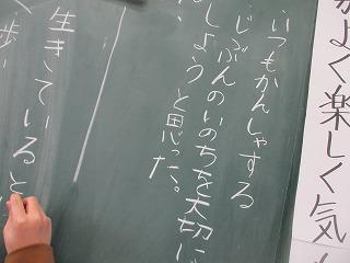 IMG_9241.jpg