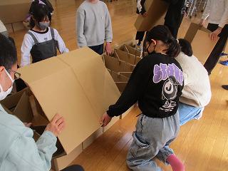 IMG_9381.jpg
