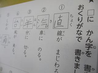 IMG_0335.jpg