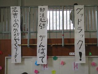 IMG_9984.jpg