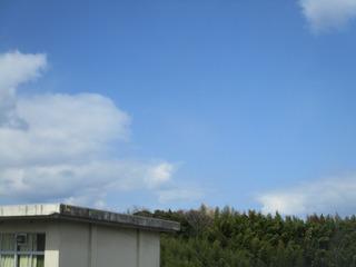 IMG_0508.jpg