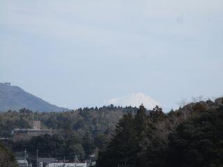 IMG_0074.jpg