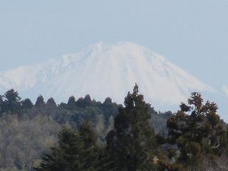 IMG_0078.jpg