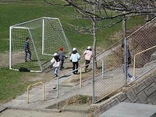 IMG_0177.jpg