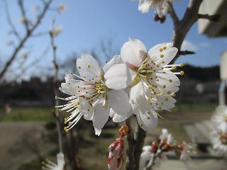 IMG_0173.jpg