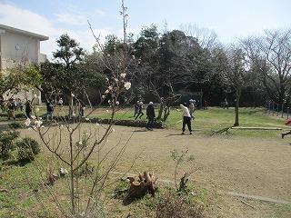 IMG_0174.jpg