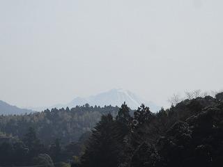 IMG_0517.jpg
