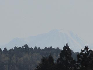 IMG_0520.jpg