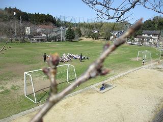 IMG_0529.jpg