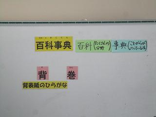 IMG_1651.jpg