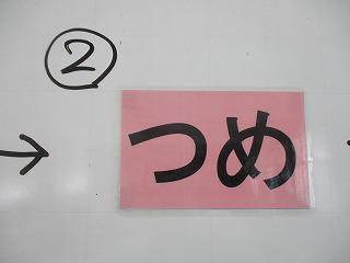 IMG_1667.jpg