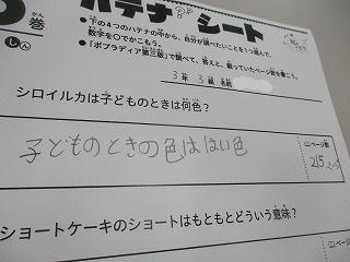 IMG_1703.jpg