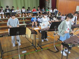 IMG_2938.jpg