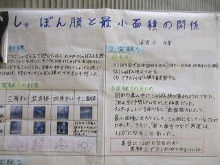 IMG_2135.jpg