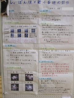 IMG_2136.png