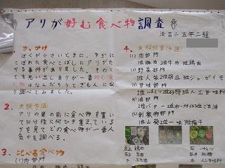 IMG_2139.jpg