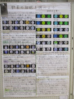 IMG_2143.png