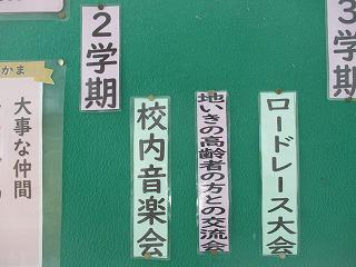 IMG_2198.jpg