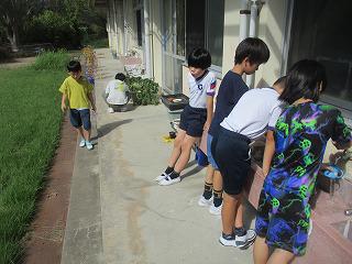 IMG_2279.jpg