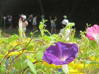 IMG_2327.jpg