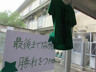 IMG_6447.jpg