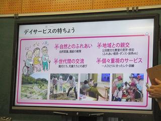IMG_2534.jpg