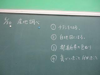 IMG_2687.jpg