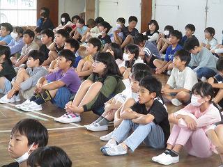 IMG_3387.jpg