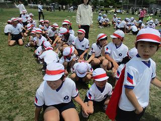 IMG_7556.jpg