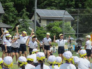 IMG_7413.jpg