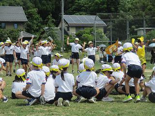 IMG_7430.jpg