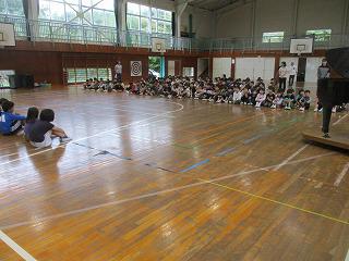 IMG_3147.jpg