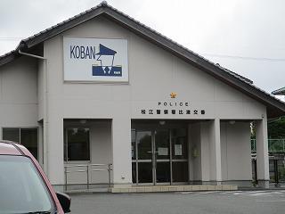 IMG_3442.jpg