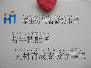 IMG_2710.jpg