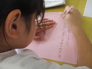 IMG_3489.jpg