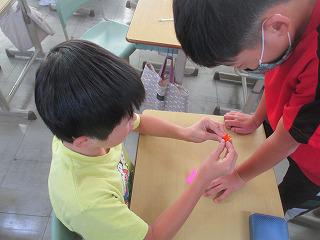 IMG_3529.jpg