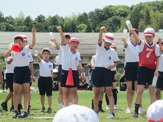 IMG_7495.jpg