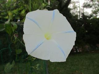 IMG_4600.jpg