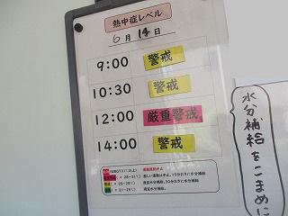 IMG_8057.jpg