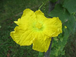 IMG_4609.jpg